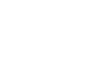 Company 2